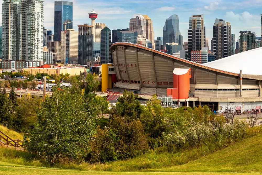 Calgary Flames image